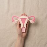 How Long Does Menopause Last? A Clear Timeline for Perimenopause, Symptoms, and Postmenopause